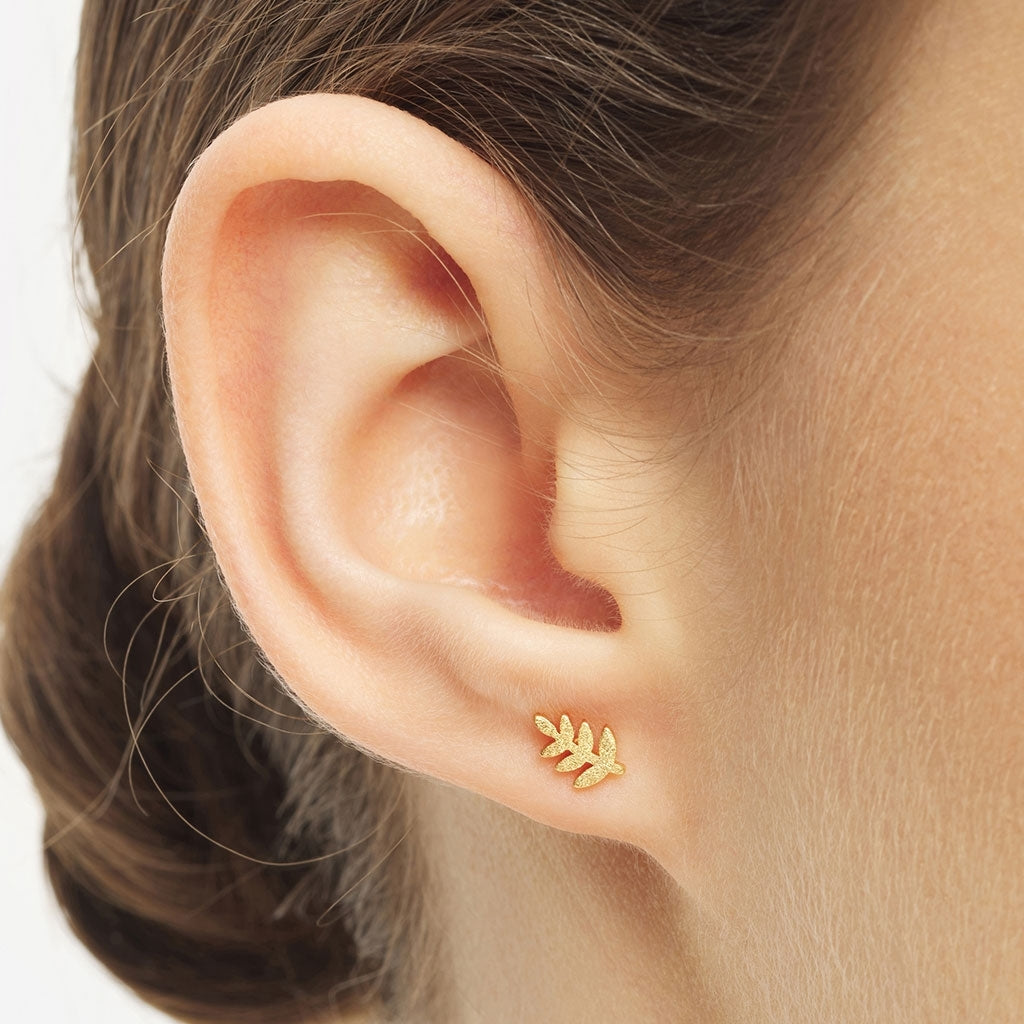 LULU Copenhagen Olive Branch 1 stück Ear stud, 1 pcs Vergoldet