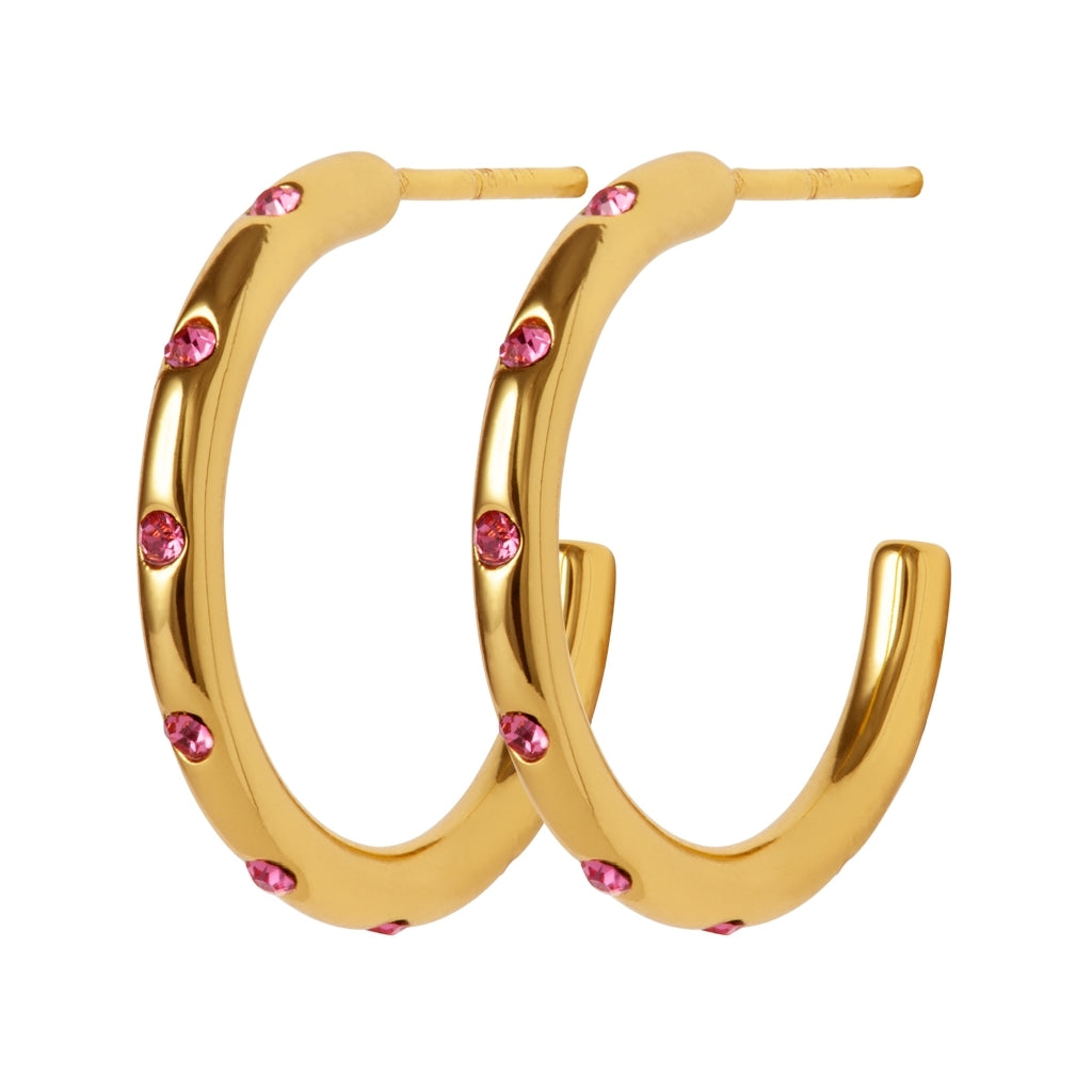 LULU Copenhagen OMG Creolen Medium paar vergoldetes Hoops Rose