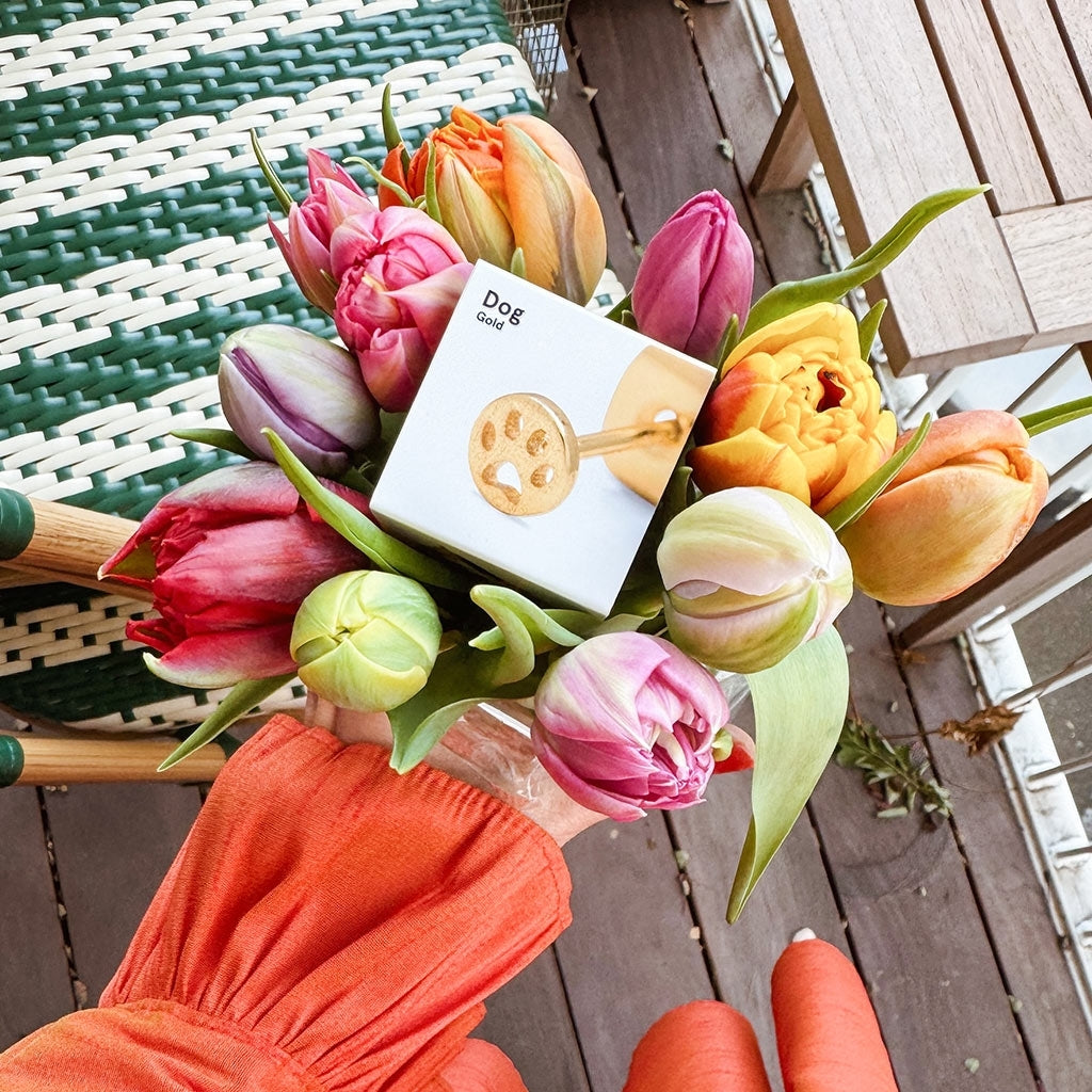 LULU Copenhagen Dog Ohrring 1 stück Ear stud, 1 pcs Vergoldet