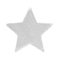 Star Ohrring 1 stück